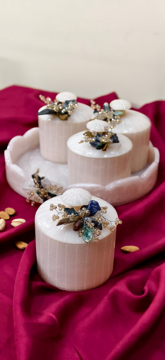 Dry Fruit Organiser Set