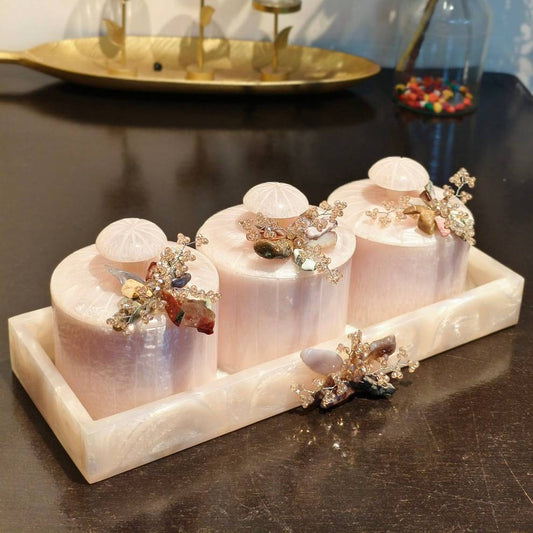Dry Fruit Organiser Set