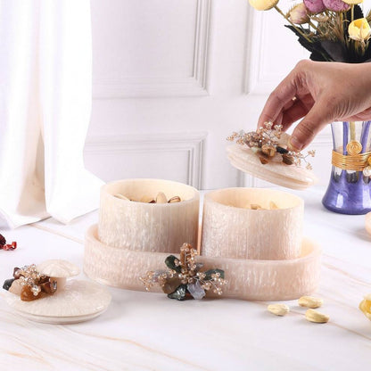 Dry Fruits Organiser set of 2