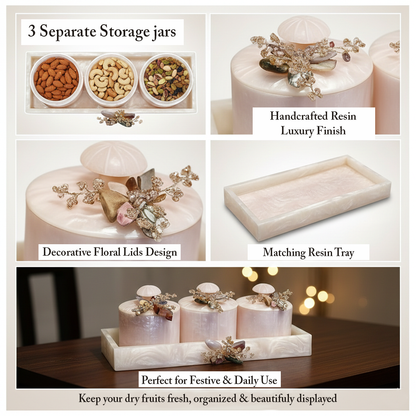 Dry Fruit Organiser Set