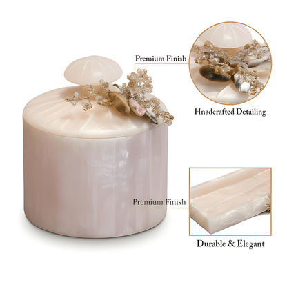 Dry Fruit Organiser Set