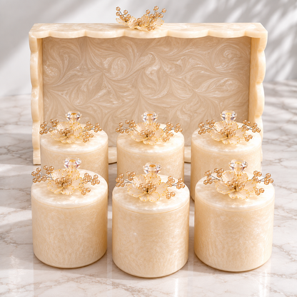 Resin Multipurpose Organizer Set of 6 Jars with Decorative Tray | Dry Fruit Storage & Home Organizer