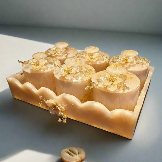 Dry Fruit Organiser