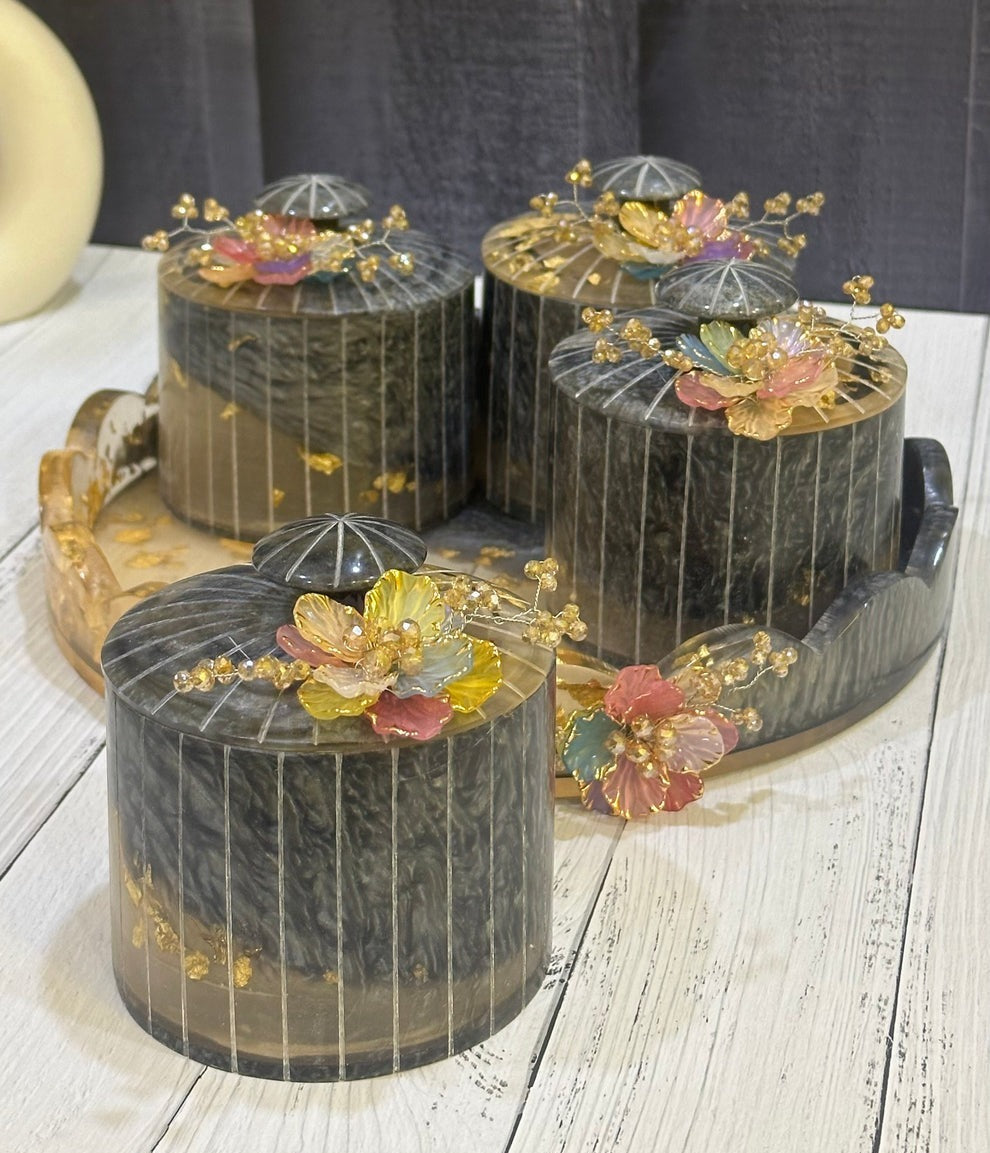 Dual Shade Dry Fruit Organiser