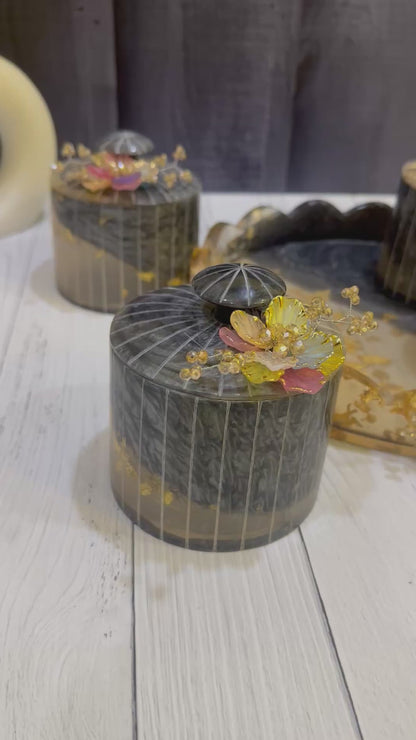 Dual Shade Dry Fruit Organiser