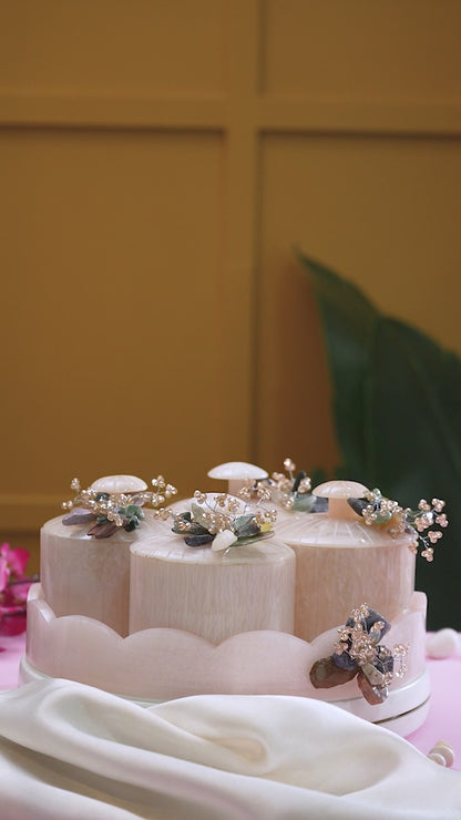 Dry Fruit Organiser Set