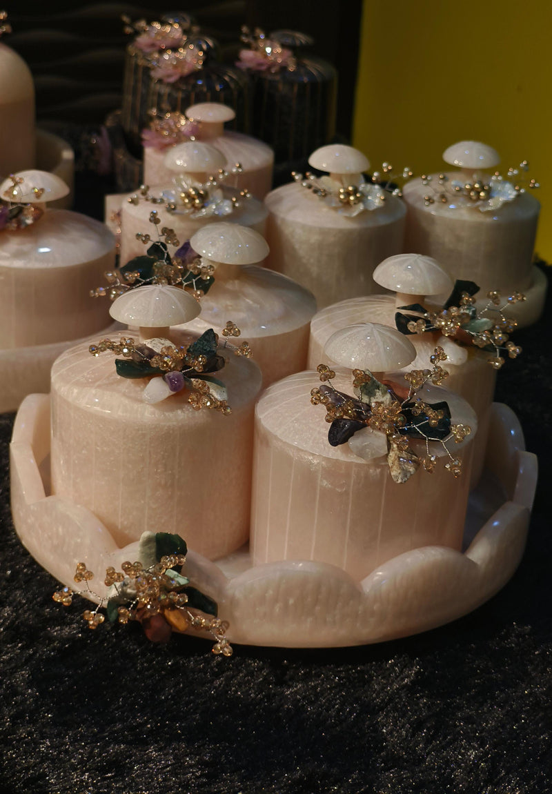 Dry Fruit Organiser Set