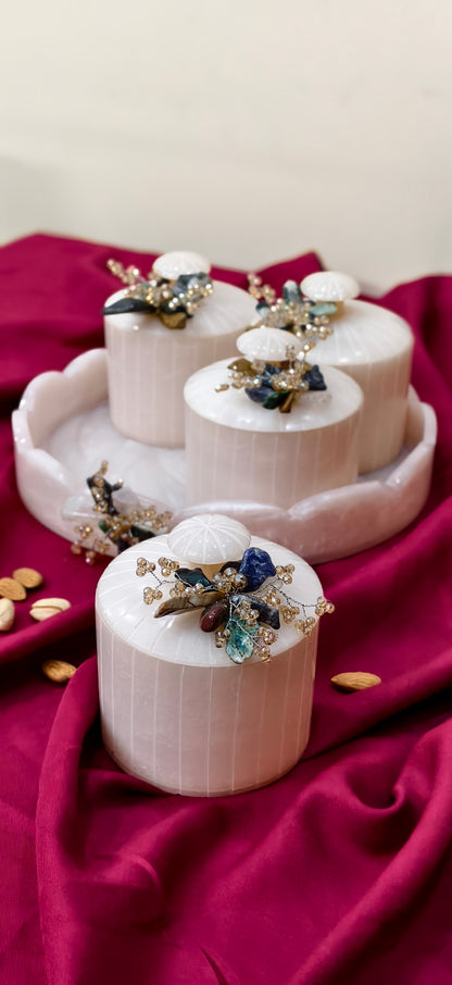 Dry Fruit Organiser Set