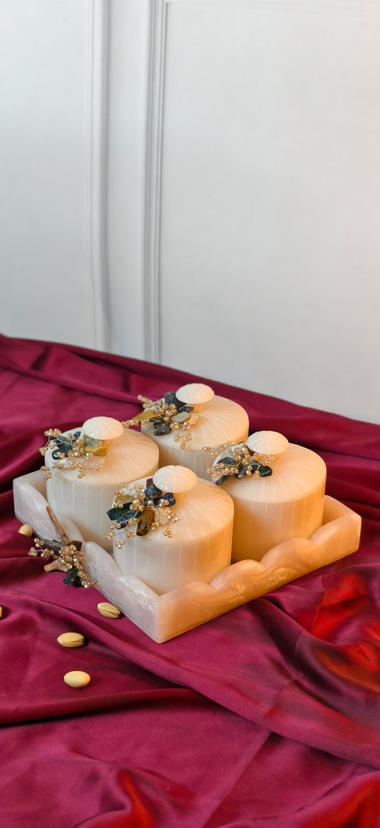 Dry fruit/Snacks Airtight Organiser Set Of 4